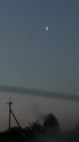 A very brief video shows a crescent moon in a dusky sky above a silhouetted tree line. There are a few power lines visible in the frame.
