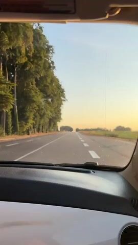 The video shows a first-person view from inside a car driving down a road lined with trees. The sun is setting, casting a warm glow over the scene and creating lens flares. The road has white lane markings. In the distance, the road curves and trees are visible on either side. A field with tall grass is also visible on the right side of the road. The sky is clear with a few faint clouds and a contrail.