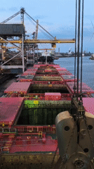 Industrial grabber descending into bulk carrier cargo hold, Velsen-Noord