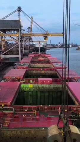 A high-angle, close-up shot captures a large industrial grabber descending into the open cargo hold of a red and pink bulk carrier ship. The grabber, made of weathered metal, is suspended by thick chains and cables. The ship's deck is a patchwork of red plating and open hatches, revealing the green-painted interior of the cargo hold. In the background, industrial cranes and other ships are visible against a pale, dusky sky. A worker in a black and yellow jacket stands on the ship's deck near the lower right corner of the frame, observing the operation. The overall scene depicts the loading or unloading of cargo at a port.