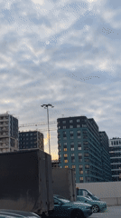 Evening life documented in Saint Petersburg residential district