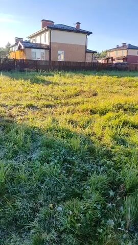 The video shows a grassy area with several houses in the background. The grass appears to be frosted in some areas, suggesting a cool morning or early frost. A small dog on a leash is visible in the lower left corner of the frame, walking on a path. The sun is shining, casting shadows across the grass. The overall impression is that of a residential area on a crisp, possibly cool morning.