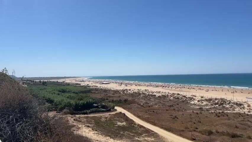 This video captures a panoramic view of a crowded beach on a sunny day under a clear blue sky. The camera pans across the scene, revealing a long stretch of sandy beach dotted with numerous beach umbrellas and people sunbathing and walking. The ocean, with its gentle waves, meets the horizon. In the foreground, a sandy path leads through dry vegetation and dunes towards the beach. A wooden boardwalk with a railing guides people to the sand. Several small white structures, possibly beachside amenities or changing rooms, are visible on the sand. The overall impression is one of a bustling summer day at the seaside.