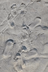 Beachgoer walks along Arambol shore leaving footprints in sand