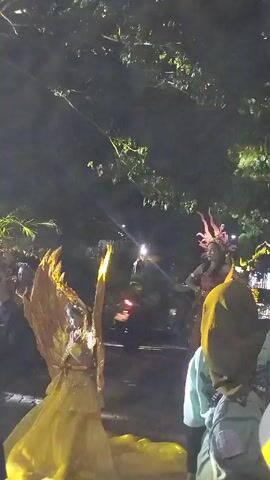 This is a low-light, vertical video of an outdoor event at night. In the foreground, two individuals are visible from the back, one in a muted green jacket and the other in a brown hijab. To their left, a person in a bright yellow, ornate costume with large, wing-like appendages is facing away from the camera and appears to be dancing or posing. Further into the scene, another individual in a detailed costume, possibly gold and brown with elaborate headwear, is walking towards the camera. Several people are holding up mobile phones to record the event. The background is dark with illuminated trees overhead and some blurred lights in the distance. The overall impression is of a parade or festive gathering.