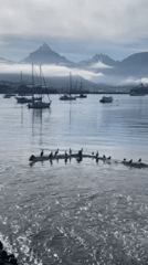 Tourist documents everyday life in Ushuaia, Argentina's southernmost city