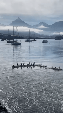 Tourist documents everyday life in Ushuaia, Argentina's southernmost city