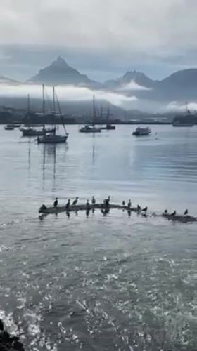 Tourist documents everyday life in Ushuaia, Argentina's southernmost city