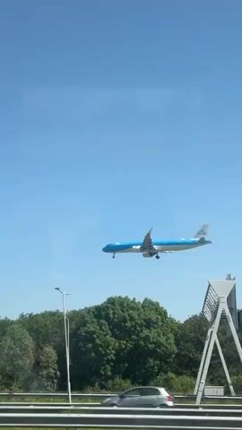 The video is taken from inside a moving vehicle. It is daytime and the sky is clear blue. An out-of-focus airplane is descending in the sky. The camera focuses on the road beside the car. There are light poles and trees next to the road. Other cars drive on the road.