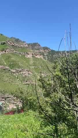 The video shows a lush green mountain landscape under a clear blue sky. The mountainside is terraced with grassy slopes and rocky outcrops. In the foreground, there are trees with green foliage, some of which are bare branches. Below the trees, a field of white flowers and green grass is visible. A green-roofed building is partially visible on the left side of the frame, nestled among the greenery. The camera appears to be handheld and pans slightly, offering a dynamic view of the natural scenery. There are no people visible in the video. The time code indicates the video is very short, showing only a few seconds of the landscape.