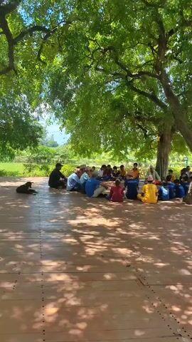A group of children and adults are sitting in a circle under a large tree. The children are wearing blue and yellow shirts. An older man in a green shirt is sitting in the center of the circle, talking to the children. The ground is made of wooden planks. There are trees and foliage in the background. A dog is lying on the ground to the left of the circle. The lighting suggests it is daytime.