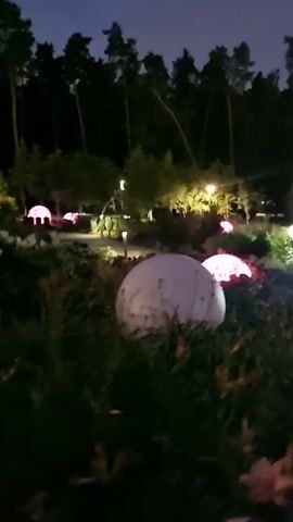The video shows an outdoor scene at dusk or night. A pathway, possibly made of wood, is visible in the foreground. Beyond the pathway, there is a garden area with various spherical lights. Some of these lights are large and white, while others are smaller and appear to be red, pink, and white. The lights illuminate the plants and ground around them. In the background, there is a dense line of trees, some of which are tall and thin, characteristic of a forest. The sky is dark, indicating it is nighttime. There are also some distant lights, possibly from buildings or other structures, and some overhead lighting illuminating parts of the garden. The overall atmosphere is serene and illuminated by decorative lighting.