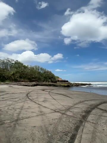 The video shows a beach with black sand and a blue sky with fluffy white clouds. There are many tire tracks on the beach, leading to the ocean. The ocean has white waves. The beach is bordered by a small cliff with trees. A man wearing a white t-shirt and blue shorts walks toward the ocean, then turns to look at the ocean.