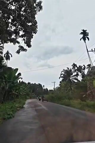 A driver films the view from their windshield while driving down an asphalt road. It is an overcast day. Palm trees and lush greenery line both sides of the road. A few motorcycles and a vehicle pass the camera. Power lines run along one side of the road.