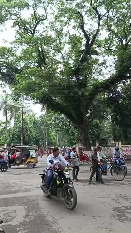 A street scene captured from a low angle, with a large, leafy tree dominating the upper portion of the frame. The tree's branches spread wide, creating a canopy over the road. The road itself is asphalt, with visible cracks and patches, suggesting it is well-trafficked. Several vehicles are present: a motorcycle in the foreground with a rider, a few auto-rickshaws further down the road, a bicycle, and a small truck. People are also visible, walking on the sidewalk and crossing the street, some interacting with the vehicles. The overall environment appears to be urban or suburban, with buildings and other vegetation lining the street. The sky is overcast, suggesting a cloudy or perhaps humid day. The video is a short, static recording of this moment in time.
