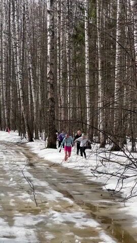 The video shows a group of people running through a forest trail covered in snow and slush. The runners are wearing athletic clothing, and some are wearing numbers on their clothing, suggesting they are participating in a race or organized event. The forest consists primarily of tall, bare birch trees, creating a stark, wintry landscape. The trail is covered in a mix of melting snow and pools of water, making the running conditions challenging. The runners are moving at a moderate pace, splashing through the slush.