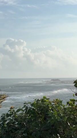 This is a vertical, eye-level, medium shot video of a coastal scene in Walgama, Sri Lanka. The foreground is dominated by lush green foliage, with broad leaves and branches extending into the frame. Beyond the foliage, the ocean stretches out under a pale blue sky filled with fluffy white clouds. The water is a deep grey-blue, with white-capped waves rolling towards the shore. In the distance, dark rocks emerge from the sea, breaking the surface and creating a rugged coastline. The sunlight appears to be soft, suggesting it is either early morning or late afternoon. The overall mood is serene and natural, capturing the beauty of the Sri Lankan coast. There is no visible text in the video.