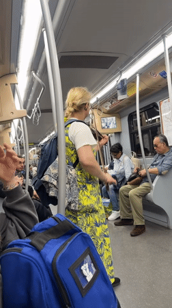 Street musician performs violin on Milan subway train