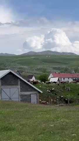The video shows a rural scene with a flock of sheep grazing on a grassy hillside. In the background, there are several houses with red roofs, set against the backdrop of rolling green hills and a cloudy blue sky. A grey building with a metal door stands in the foreground. The sheep are spread out across the hillside, grazing peacefully. The overall impression is one of a serene and idyllic countryside setting.