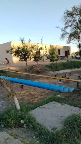 A group of children are swimming and playing in a muddy, flowing canal. A large blue pipe crosses the canal, with yellow pipes running parallel to it on the bank. On the left side of the canal, there is a concrete embankment covered in grass and debris. In the background, there is a light-colored building with trees and utility poles in front of it. Several people are visible near the building, and a bicycle is parked on the left side of the frame. The sky is clear and blue.