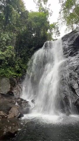 This video shows a waterfall cascading down a rocky surface surrounded by lush green vegetation. The water is white and appears to be flowing with some force, creating a misty spray at the bottom where it collects in a dark pool. The rocks surrounding the waterfall are dark and wet, with some smaller rocks and pebbles visible near the base. The trees and foliage in the background are dense and green, suggesting a natural, possibly tropical, environment. The sky is overcast, contributing to the diffused lighting of the scene. There are no people visible in the video. The camera appears to be held at a medium-low angle, looking up towards the waterfall. The video is short and static, with no visible camera movement or changes in perspective.