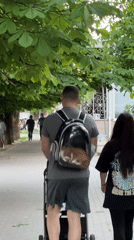 Man carries cat in backpack while strolling in Chișinău