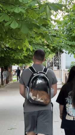 Man carries cat in backpack while strolling in Chișinău