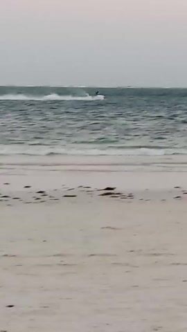 The scene, captured from a stationary perspective on a sandy beach, features a person riding a jet ski on the water. The beach is light-colored and has scattered seaweed. The water has gentle waves, and the jet ski is moving from left to right, leaving a trail of white water in its wake. The sky is overcast and pale. A lone bird walks on the shoreline in the middle ground. The overall impression is one of a calm, overcast day at the beach with recreational water activity.