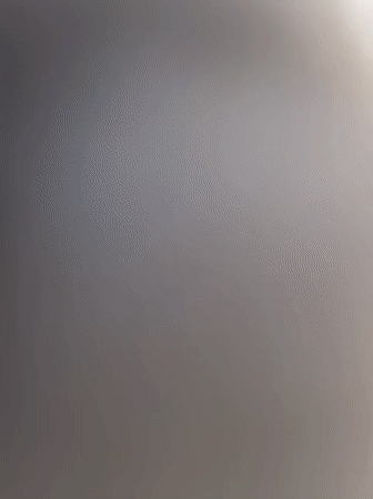 Puppies play with person in Balashov garden