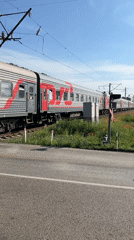 Train passes through blooming poppy fields in Plastunivska