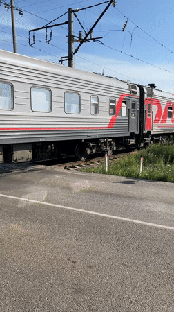 Train passes through blooming poppy fields in Plastunivska