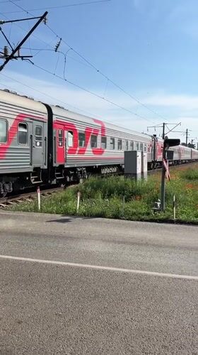 Train passes through blooming poppy fields in Plastunivska