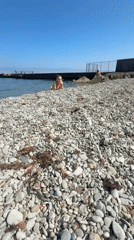 Family Beach Day: Swimming, Paddleboarding and Picnic at Pebble Shore