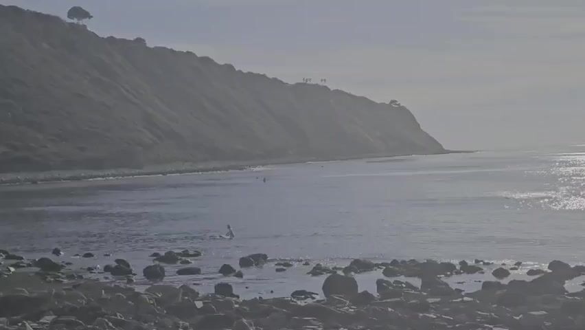 The video shows a misty coastal scene. A person stands in the shallow water, facing away from the camera. The water is calm and reflects the sunlight. The foreground is a rocky beach. A large, grassy cliff dominates the background. There are a few indistinct figures on the cliff top.