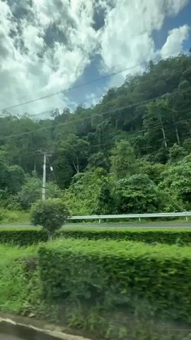 This media file captures a scenic view from a moving vehicle, likely a car or bus, traveling along a road in a lush, green, tropical environment. The main subjects are the dense, verdant forest covering a hillside that dominates the background, and the road itself, which appears wet, suggesting recent rain.

The scene is characterized by an abundance of green foliage, with trees of various heights and types creating a textured, layered landscape. In the foreground, a neatly trimmed hedge or row of bushes runs parallel to the road, adding a touch of manicured order to the wildness of the forest. The road surface is visible with white lane markings and a metal guardrail separating the road from the greenery.

Several utility poles with power lines stretch across the frame, indicating the presence of infrastructure in this natural setting. One of these poles has a light fixture attached to it. In one shot, a dark-colored pickup truck is briefly visible on the road, suggesting ongoing traffic.

The sky is a mix of blue and white, with fluffy clouds scattered across it. The lighting suggests it is daytime, possibly late morning or afternoon, with diffused sunlight peeking through the clouds, contributing to a bright but not harsh illumination. The overall mood is peaceful and serene, conveying a sense of travel through a beautiful natural landscape.

Location cues suggest Ban Thung Nui, Thailand, a region known for its natural beauty and tropical climate. The wet road and abundant greenery are consistent with a tropical environment that experiences rainfall. There is no visible text in the media file.