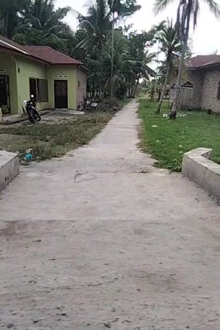 The video appears to be a first-person perspective recording, taken outdoors on a cloudy day, with the camera oriented vertically. The footage shows a paved path or road, bordered by vegetation and some buildings on either side. In the initial frames, a small, green, three-wheeled vehicle is visible moving away from the camera. As the recording progresses, the path curves, and the surrounding environment includes a gate with ornate metalwork, a tree with some fallen leaves around its base, and houses with corrugated metal roofs. There are no people directly visible in the frames, but the presence of the vehicle suggests human activity in the area. The overall impression is that of a rural or suburban setting.