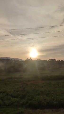 The video is a landscape shot of a field at sunrise. The sun is bright and positioned in the upper center of the frame. The sky is cloudy with a warm, hazy glow. In the foreground, there is a grassy field. In the middle ground, there are trees and some structures, possibly houses, partially obscured by mist. In the far background, there are hills or mountains. There are overhead wires running across the top of the frame. A small white object, possibly a bird or a small animal, is visible in the left side of the field.