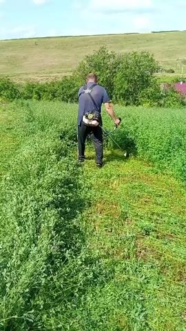 A man is mowing a field with a string trimmer. The man is wearing a blue shirt, black pants, and a black backpack. He is walking away from the camera, and the string trimmer is in front of him. The field is covered in tall green grass, and there are trees and a house in the background. The sky is blue with some clouds.