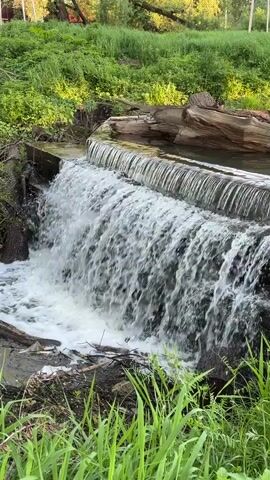 The video shows a small waterfall in a grassy, wooded area. The waterfall flows over a flat, concrete structure with a lip. A large log sits on top of the structure, next to the water. The water flows rapidly over the edge, creating white foam and rushing sounds. Green grass and other foliage surround the waterfall, and trees are visible in the background. The lighting suggests it is daytime. There are no people visible in the scene.