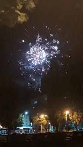 The video shows fireworks being set off at night. The fireworks are bursting in various colors and patterns against a dark sky. In the foreground, there are trees and the silhouettes of buildings. Streetlights are also visible, illuminating the area below.