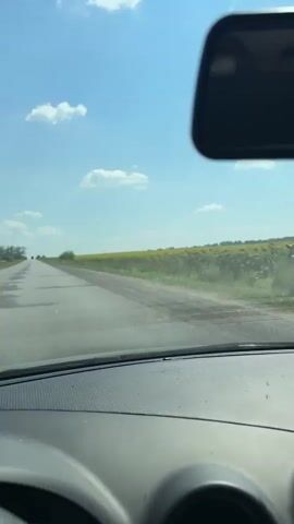 The video appears to be captured from the interior of a car, looking out through the windshield. A rearview mirror is visible at the top of the frame. The car is driving on a paved road that stretches into the distance. On either side of the road, there are fields of what appear to be sunflowers. The sky is blue with scattered white clouds. The dashboard of the car is visible in the foreground. The time stamp indicates the video is from a few seconds long.