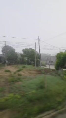 The video depicts a scene from a moving vehicle, likely a car, on a road. The visibility is significantly reduced due to heavy fog or mist. The landscape consists of rural or suburban surroundings, with various buildings, trees, and green vegetation. The focus is on the passing scenery visible through the window of the vehicle, with utility poles and power lines running parallel to the road. The road itself appears to be a paved surface, and glimpses of drainage systems or concrete curbs can be observed along the roadside. The overall atmosphere is hazy and muted due to the dense fog.