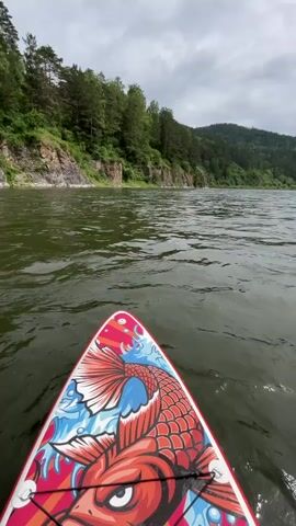 The video shows a first-person perspective of someone on a paddleboard with a red and blue koi fish design on the front. The paddleboard is on a wide, calm river with murky green water. On the left bank of the river, there are steep, rocky cliffs covered with lush green trees and vegetation. The river curves gently to the right, with forested hills in the background. The sky is overcast with gray clouds. The paddleboard is moving forward, creating ripples in the water.