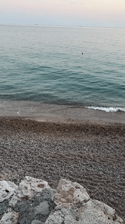 Woman and poodle enjoy evening beach visit in Montenegro