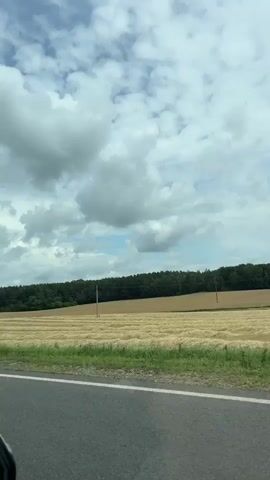 The video shows a view from a moving vehicle, looking out at a rural landscape. A field of harvested wheat, laid out in neat rows, stretches across the frame. A dense line of dark green trees forms the horizon behind the field. The sky is filled with dramatic, puffy white clouds against a pale blue backdrop. On the left side of the road, a blue and white traffic sign is visible. It depicts a curved arrow pointing to the left, indicating a turn or curve ahead, and a number "100" below it, possibly indicating a speed limit or distance. The road itself is gray asphalt, with a white dividing line visible on the left. The foreground shows a grassy verge along the side of the road, with some wildflowers interspersed. The overall impression is one of a bright, slightly overcast day in the countryside.