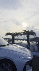 Vehicle travels scenic waterfront road in Bac Nha Trang
