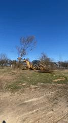 Construction vehicle removes tree in Belarusian field