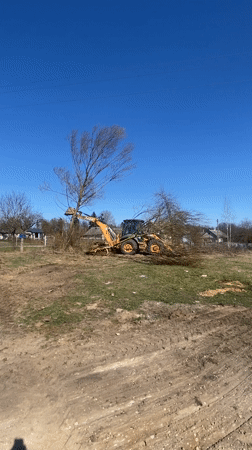 Construction vehicle removes tree in Belarusian field