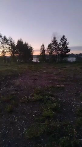 The camera pans across a desolate, dry field with sparse, green vegetation and small trees under a pale pink sky. A tall, thin antenna is visible in the background, with a body of water shrouded in fog or mist behind it. As the camera continues to pan, the sun begins to rise, casting an orange glow over the horizon. The camera then quickly pans back to the left, showing the field and trees again.