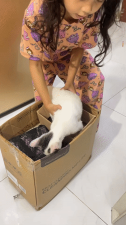 Girl tends to cat during morning routine in Davao City